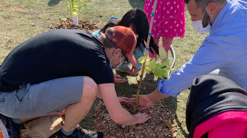 WSD 150 Tree Planting WEB